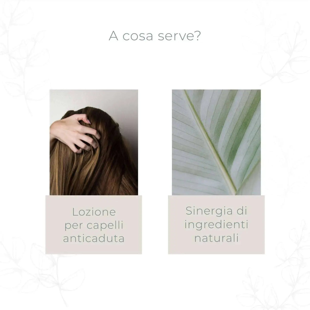 Amazonia Haarlotion 100 ml mit Rosmarin