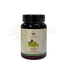Ein dunkelbernsteinfarbenes glasfläschchen mit schwarzem verschluss und weißem etikett mit emblica officinalis amla und ayurveda spezialist label