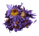 Ein bund getrockneter blauer lotusblüte mit lebhaften gelben mittelpunkten für luzides träumen tee antike reinheit