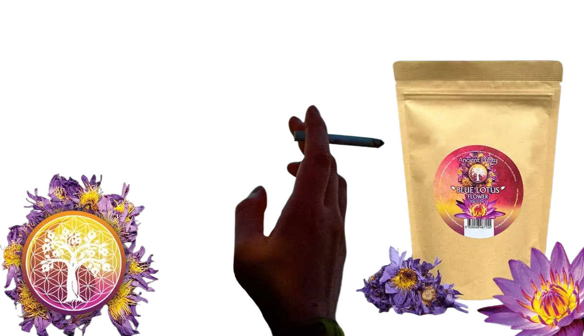 Ancient Purity Blaue Lotusblume Tee aus Sri Lanka, 20g, ganze Blüten, ideal für luzides Träumen, handverlesen und natürlich