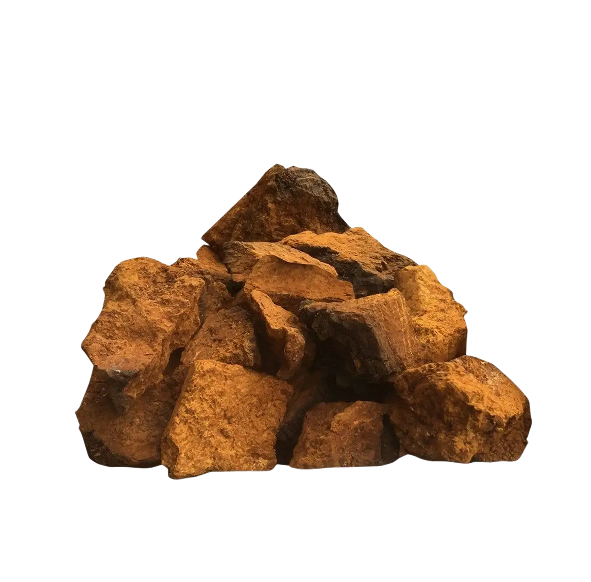 Ancient Purity Chaga-Pilz Nahrungsergänzungsmittel, 150g, wild geerntet, nachhaltig bezogen, in einer Verpackung.