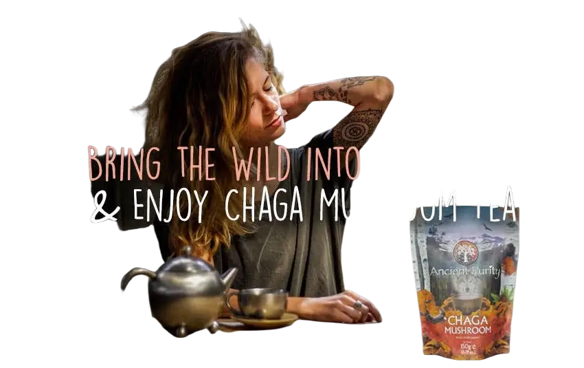 Ancient Purity Chaga-Pilz Nahrungsergänzungsmittel, 150g, wild geerntet und nachhaltig bezogen, natürliche Heilpflanze