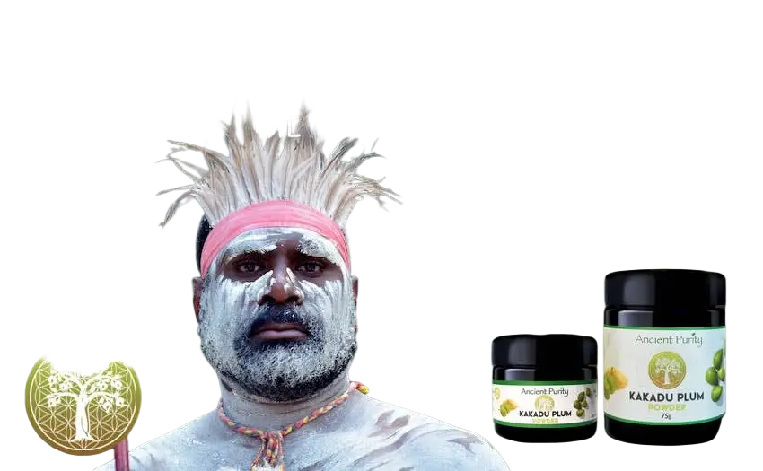 Ancient Purity Kakadu-Pflaume Nahrungsergänzungsmittel mit hohem Vitamin C-Gehalt, zeigt die getrocknete Frucht in einer Schale