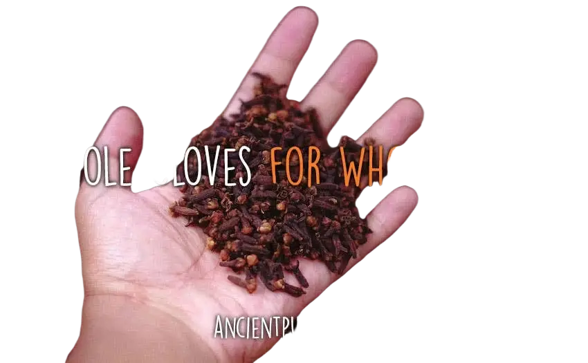 Ancient Purity Kau-Nelken, ganze Nelken als Nahrungsergänzung, frisch und aromatisch, ideal für Gesundheits-Hacks.
