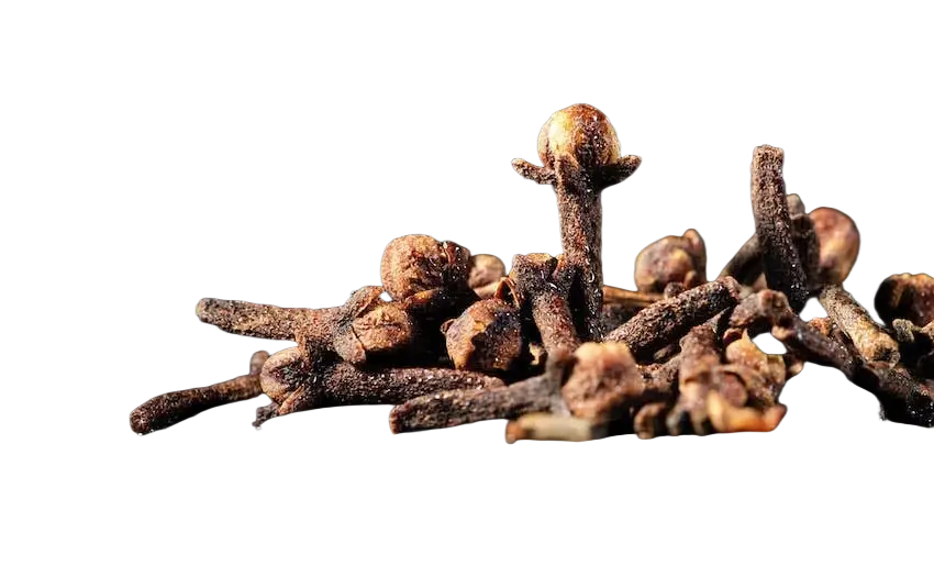 Ganze Nelken aus dem Nahrungsergänzungsmittel Ancient Purity Kau-Nelken, frische Nelken mit aromatischem Duft, ideal für Gesundheit und Wohlbefinden