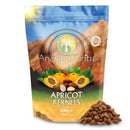 Bittere Aprikosenkerne von Ancient Purity in 500g Verpackung, Lebensmittel aus Hunza Pakistan, Nahaufnahme der Kerne