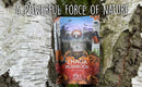 Ancient Purity Chaga-Pilz Nahrungsergänzungsmittel, 150g, wild geerntet und nachhaltig bezogen, getrockneter Chaga-Pilz in Verpackung