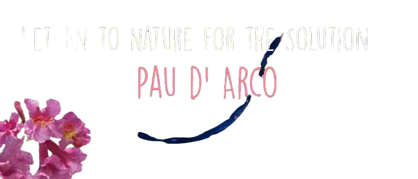 Ancient Purity Pau d'Arco Nahrungsergänzung, 180g innere Rinde, unterstützt Mitochondrien, NAD+ und braunes Fett.