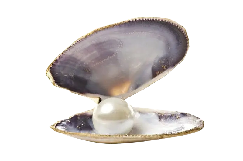 Ancient Purity Perlenpulver, 50g, Nahrungsergänzungsmittel mit Nano A Qualität, feines Pulver in beiger Verpackung