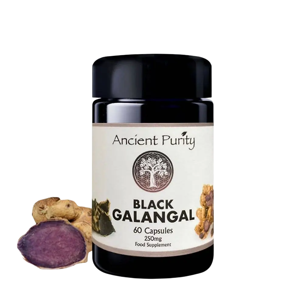 Ancient Purity Schwarzer Galgant Krachai Dam Nahrungsergänzung, 60 Kapseln à 250 mg, dunkle Kapseln in Packung