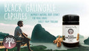 Black galangal kapseln in dunkler glasflasche mit schwarz kappe und white label von ancient purity krachai dam 60x250 mg