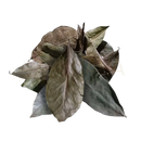 Ein haufen getrockneter soursop-blätter in braunen, graugrünen und dunklen tönen von ancient purity 20g