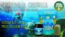 Ein lebhaftes türkis-grünes paket ancient purity chlorella powder 300g mit baum-logo für bioqualität