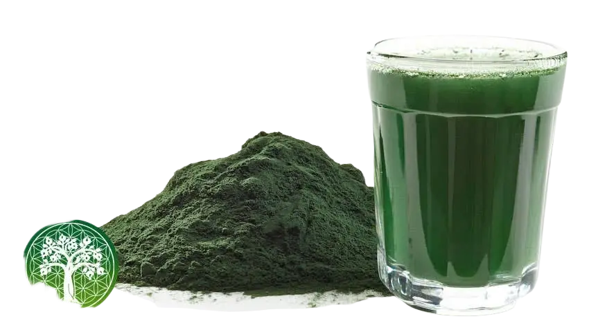 Ancient Purity Spirulina und Chlorella Pulver in Bioqualität, 300g, nährstoffreiches Nahrungsergänzungsmittel in Pulverform