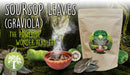 Ancient Purity Soursop-Blätter Tee in einer Tasse, trockene Blätter im Beutel, natürliche Pflanzentee für Gesundheit und Wohlbefinden.