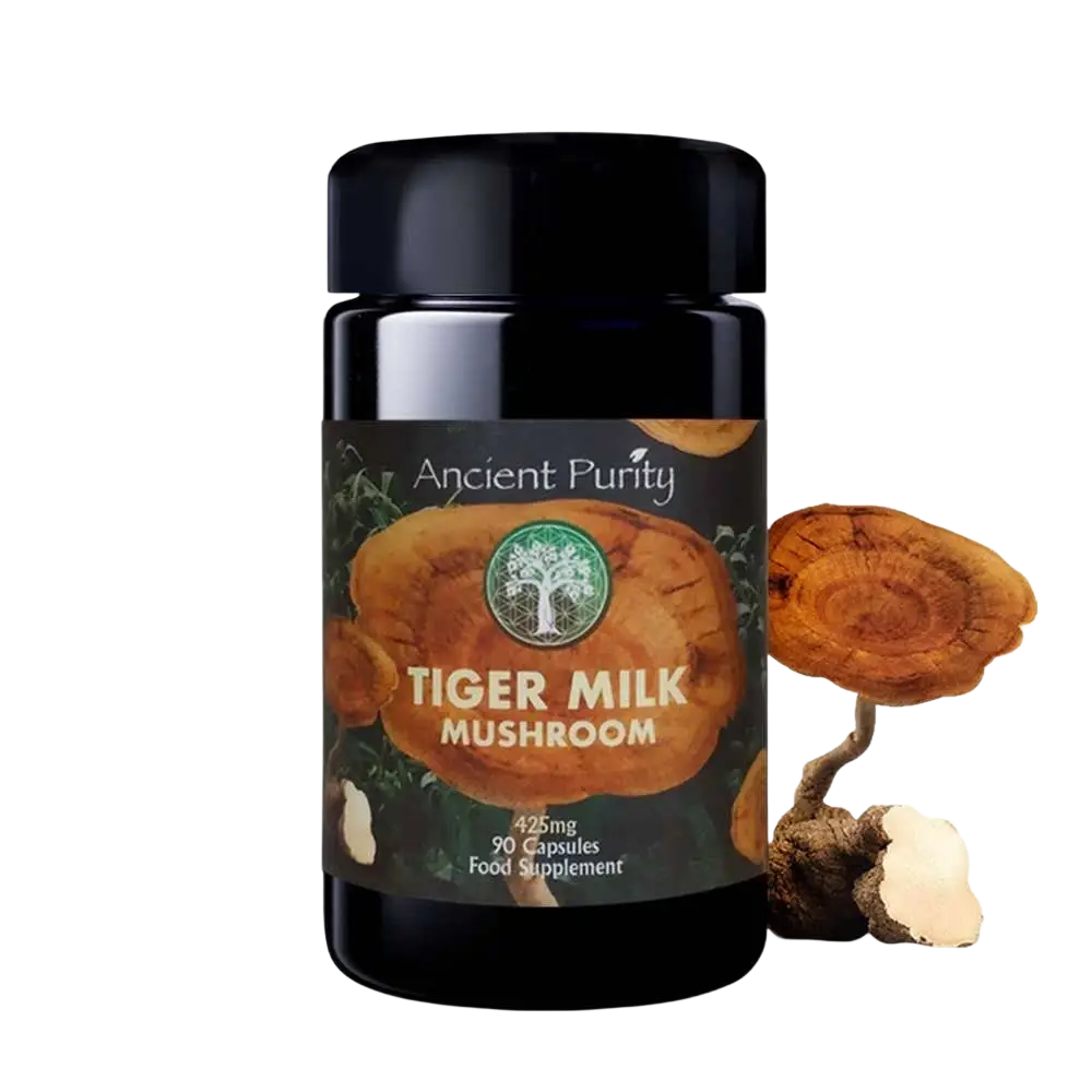 Ancient Purity Tigermilchpilz Kapseln, 90 Stück, natürliche Vitalpilze für Atemwege und Gehirn, 425 mg pro Kapsel