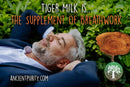 Ancient Purity Tigermilchpilz Kapseln, 90 Stück, natürliche Vitalpilze für Atemwege und Gehirn, in einer weißen Verpackung