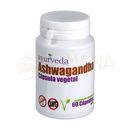 Weiße plastikflasche mit ayurveda ashwagandha kapseln für stressbalance energie und schlaf zur natürlichen leberpflege