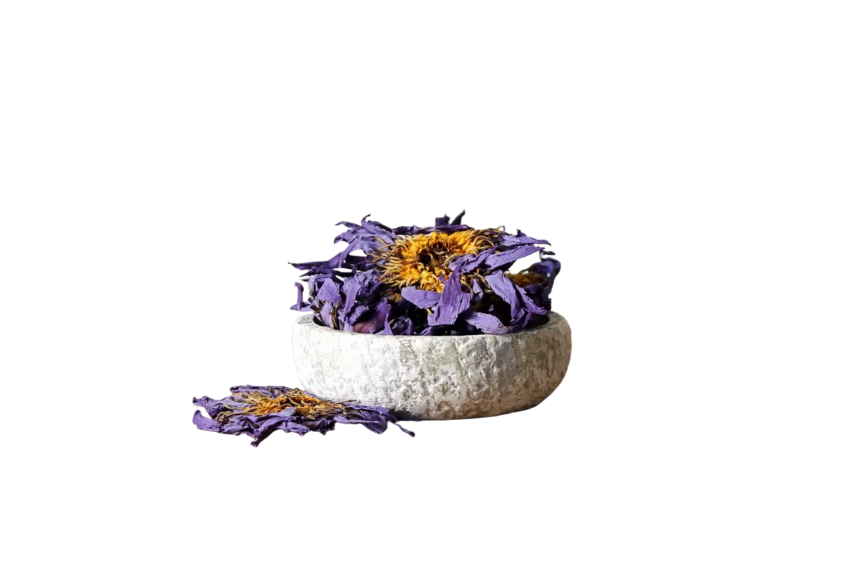 Getrocknete blaue Lotusblüten von Ayamani Naturals, Nymphaea Caerulea, für Tee, 15g oder 100g, natürliche Blüten in Nahaufnahme