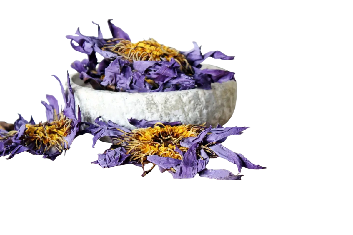 Getrocknete Blüten der blauen Lotus Nymphaea Caerulea von Ayamani Naturals, ideal für Tee, in 15g oder 100g Verpackung