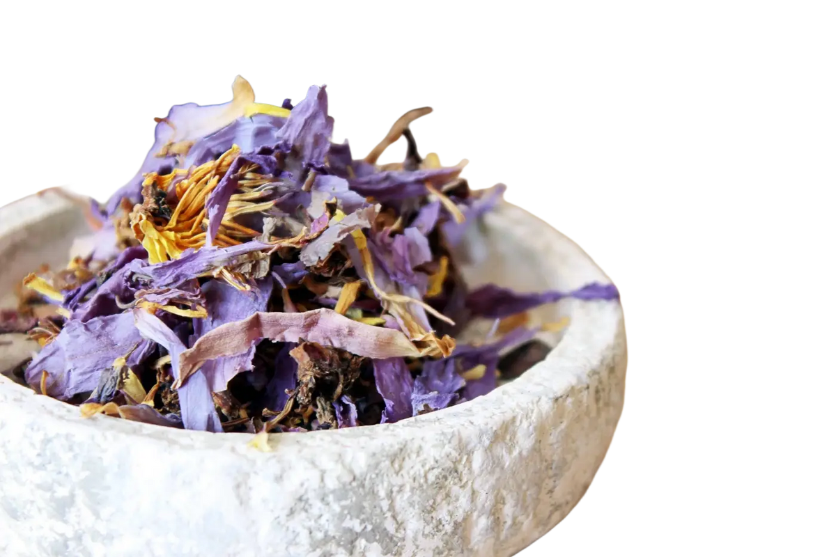 Getrocknete Blütenblätter der blauen Lotus Nymphaea Caerulea für luzides Träumen, präsentiert in einer Packung von Ayamani Naturals.