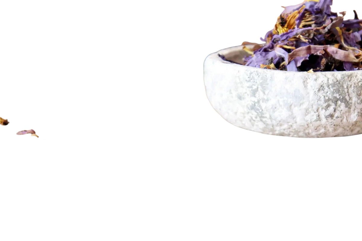 Getrocknete Blütenblätter der blauen Lotus Nymphaea Caerulea, ideal für luzides Träumen, von Ayamani Naturals, 250g Tee.