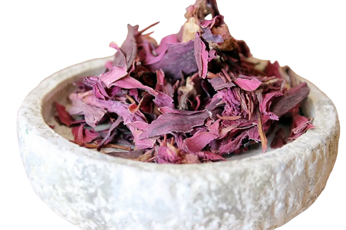 Getrocknete Blütenblätter der roten Lotus Nymphaea Rubra von Ayamani Naturals, ideal für entspannenden Tee und Aphrodisiakum.