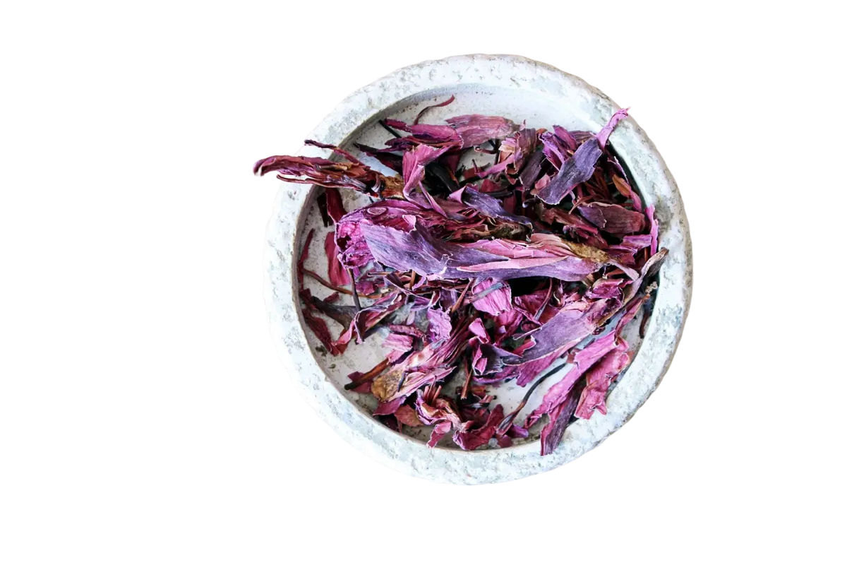 Getrocknete Blütenblätter der roten Lotus Nymphaea Rubra von Ayamani Naturals, ideal für entspannenden Tee und Aphrodisiakum.
