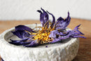 Getrocknete blaue Lotusblüten von Ayamani Naturals, Nymphaea Caerulea, für Tee, in 15g und 100g Verpackungen, natürliche Blüten.