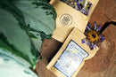Ayamani Naturals Dream Well Kräutertee in einer Packung, ideal für luzides Träumen und Astralprojektion, 30g.