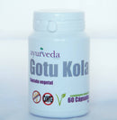 Nahrungsergänzung Götukola (Centella asiatica) Trockenextrakt in Packung, Ayurveda Auténtico, für gesunde Haut und geistige Klarheit