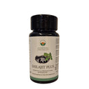 Schilajit Plus Ayurveda Specialist B.V. mit 350 mg Fulvinsäure und 150 mg Ashwagandha in einer Dose, Nahaufnahme der Verpackung