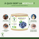 Myrtille bio – Complément alimentaire en capsules pour soutenir la santé oculaire