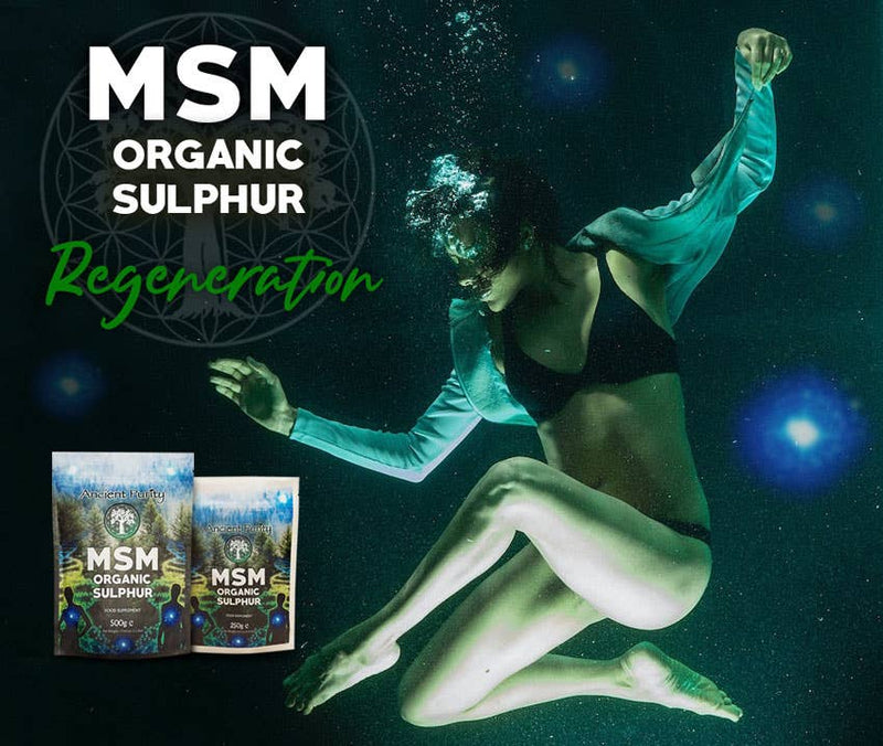 Ancient Purity – MSM Organischer Schwefel 99% Reinheit – Haut, Gelenke, Detox