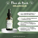 Dunkle bernsteinfarbene glasflasche mit schwarzem tropfverschluss und weißem etikett bach flower melancholy für mehr freude im alltag