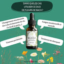 Dark amber glasflasche mit schwarzem tropfverschluss bach flower melancholy mélancolie für mehr joy im alltag