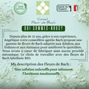 Promotional graphic for conseil fleur de bach in green and white for bach flower dependence and quit smoking