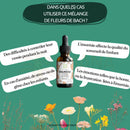 Bachblüten Enuresis Tropfen von Conseil Fleur de Bach, natürliche Unterstützung bei Bettnässen, Flasche mit Tropfen in Wasser.
