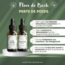 Zwei bernsteinfarbene glas tropfflaschen mit weißen blumenetiketten und schwarzen kapseln von fleur de bach für natürliche unterstützung beim gewichtsverlust