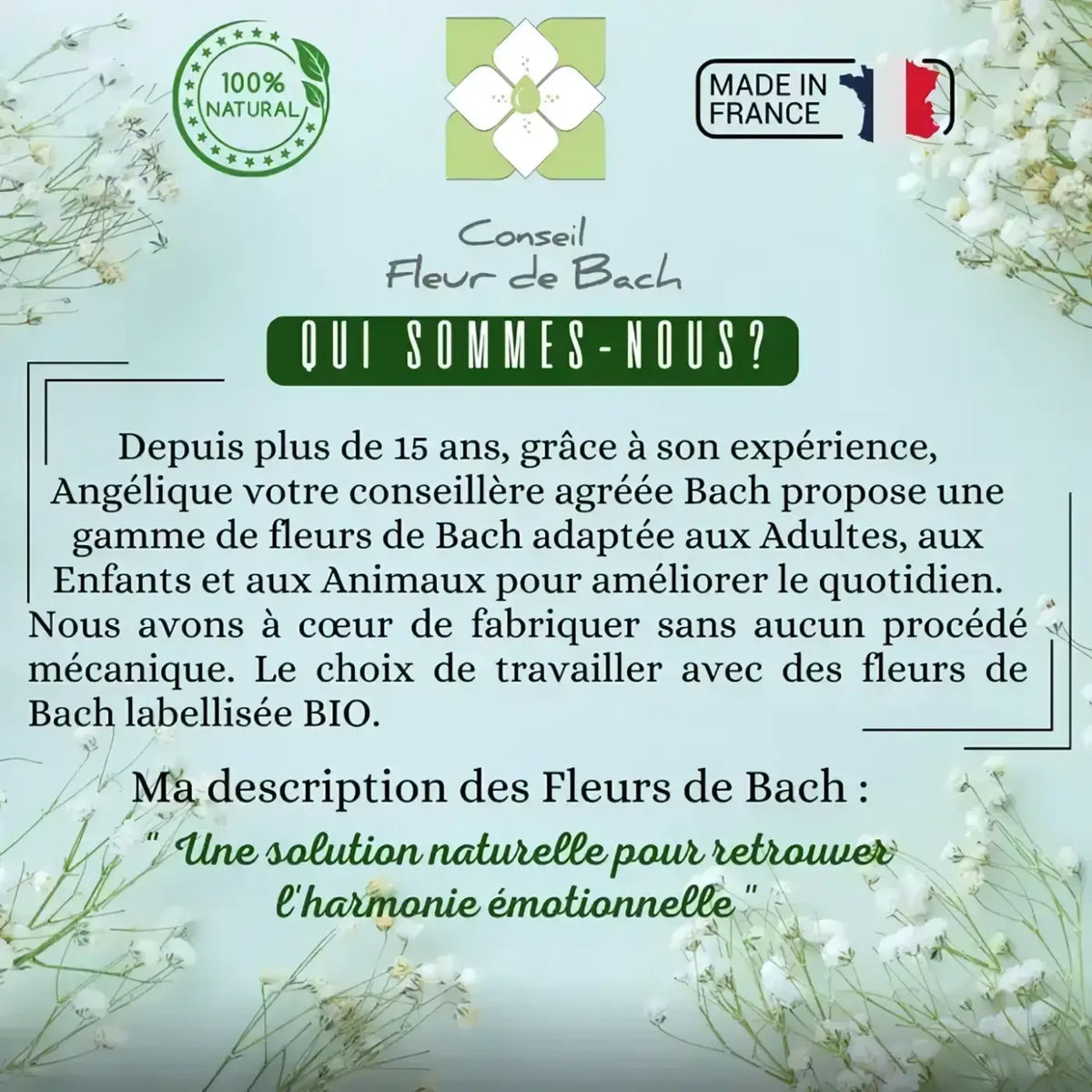 Bachblüten Gewichtsverlust Nahrungsergänzung von Conseil fleur de Bach, natürliche Unterstützung für mehr Wohlbefinden.