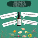 Bachblüten Hausaufgaben & Konzentration Tropfen von Conseil fleur de Bach, natürliche Unterstützung für fokussiertes Lernen
