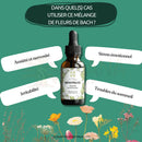 Ein dunkles bernsteinfarbenes glasfläschchen mit schwarzem tropfverschluss und weißem etikett mit grünen floralen mustern für emotionale stabilität bei hitzewallungen mit blütenessenzen bach
