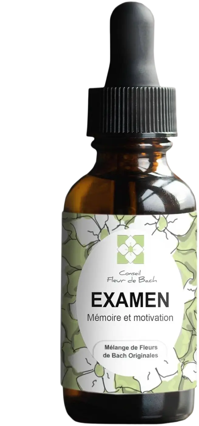Bachblüten Prüfung Tropfen von Conseil fleur de Bach, natürliche Unterstützung für Konzentration und Selbstvertrauen, Flasche mit Tropfen