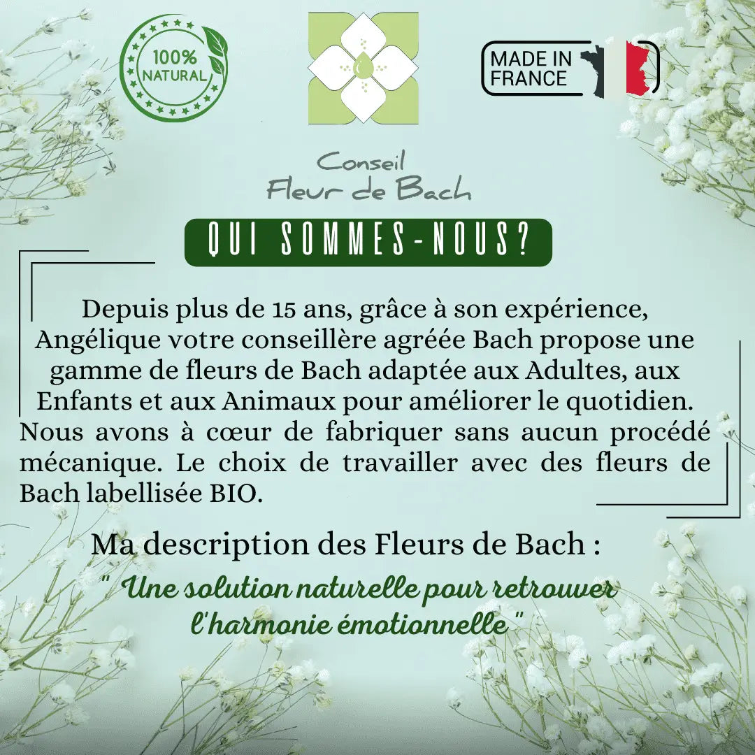Bachblüten Prüfung Tropfen von Conseil fleur de Bach, natürliche Unterstützung für Konzentration und Selbstvertrauen, Flasche mit Tropfen