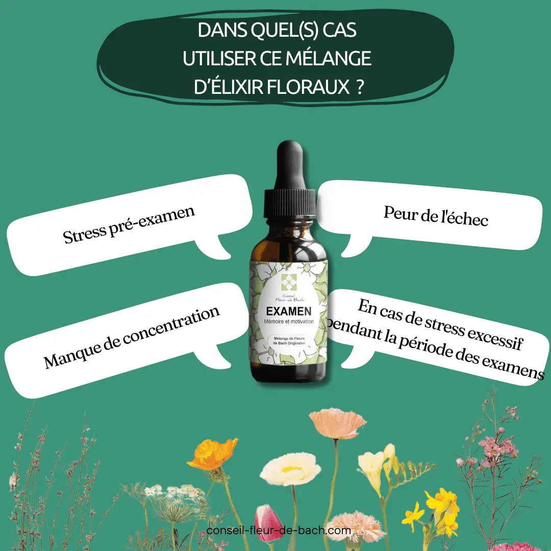 Bachblüten Prüfung Tropfen von Conseil fleur de Bach in einer Flasche, natürliche Unterstützung für Konzentration und Selbstvertrauen