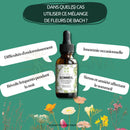 Dunkle bernsteinfarbene glasflasche mit schwarzem tropfverschluss und weißem blumendesign für bach flower sleep im bachblüten schlaf produkt