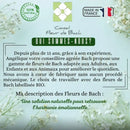 Light green and white floral conseil fleur de bach logo with four petals for bach flower sleep natural support for erholsame nächte