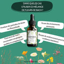 Eine dunkel bernsteinfarbene glasflasche mit schwarzem tropfverschluss und grün floralem etikett bach flower selbstvertrauen