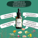 Braune glasflasche mit schwarzem tropfverschluss und grünem floralen etikett colère bach flower remedies für gelassenheit wiederfinden und flower remedies anger