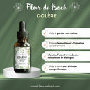Flor de bach colère in dunkler bernsteinfarbener glasflasche mit schwarzem tropfverschluss und grün dekoriert zur gelassenheit wiederfinden mit bachblüten wut